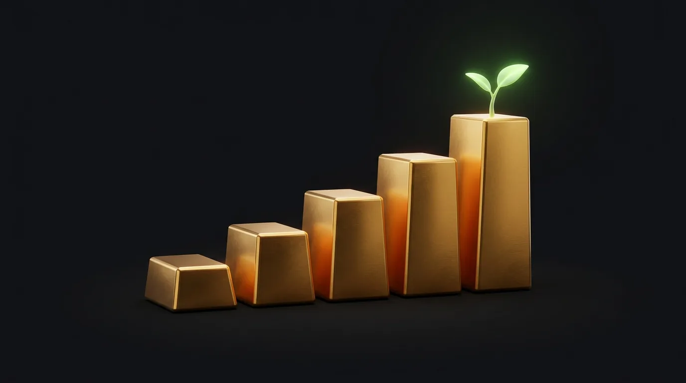 How to Build Your Credit